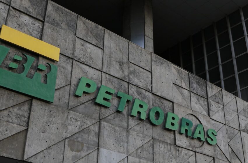  Ibama aprova plano da Petrobras sobre fauna na Foz do Amazonas