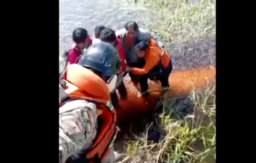  Cinco pessoas sobrevivem após queda de avião em pântano com jacarés