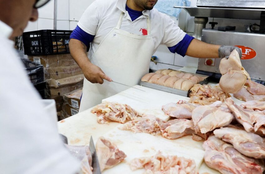  Gripe aviária: 17 países suspendem restrição à carne brasileira 
