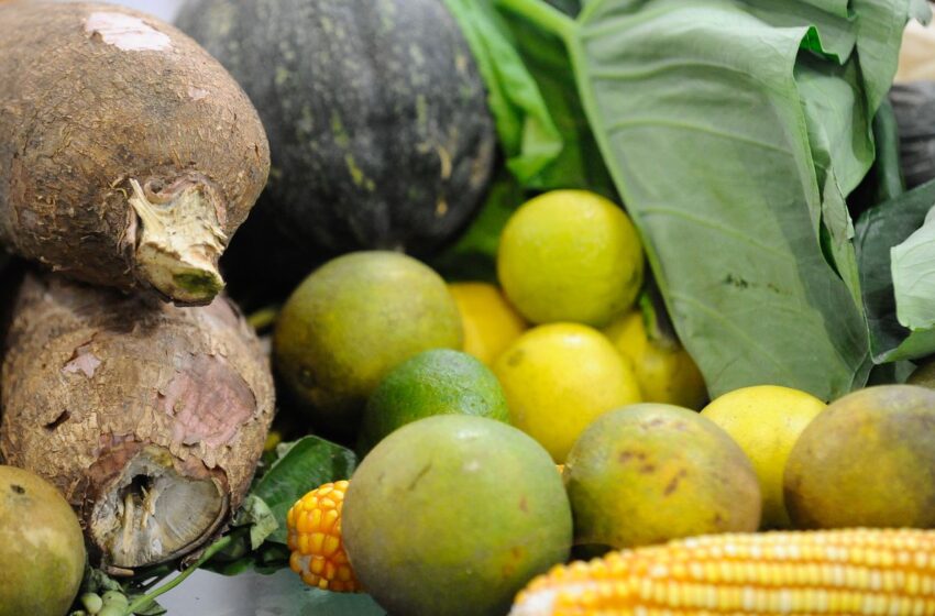  Preço da Cesta Básica cai em 15 de 17 capitais pesquisadas