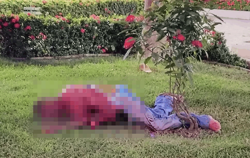  Homem é Morto a Facadas Durante Briga em Machadinho do Oeste