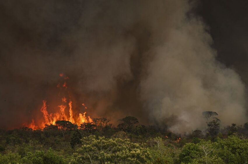  Câmara aprova aumento de punição a quem provocar incêndios florestais
