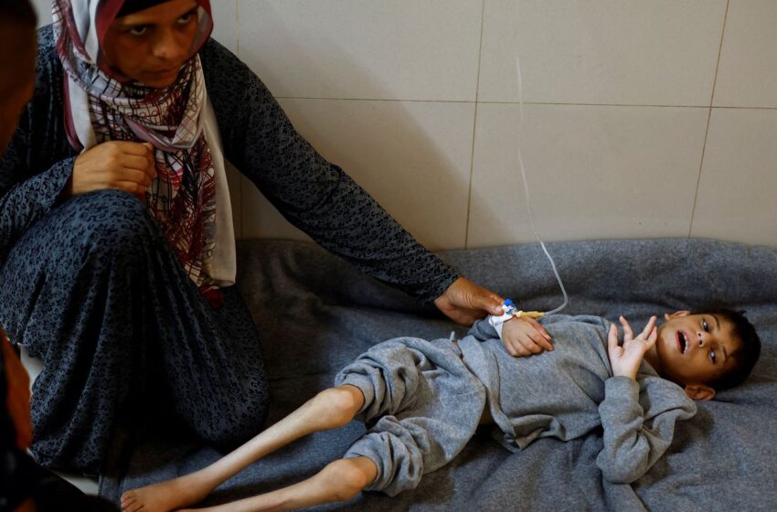  FAO aponta que fome chegou a pior patamar em Gaza