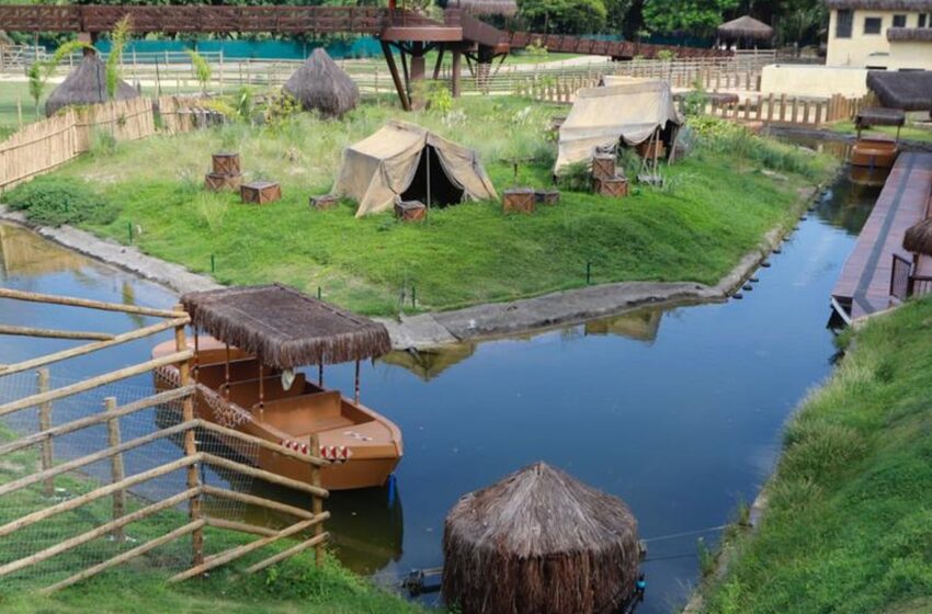  Mapa confirma gripe aviária em aves mortas no Bioparque do Rio