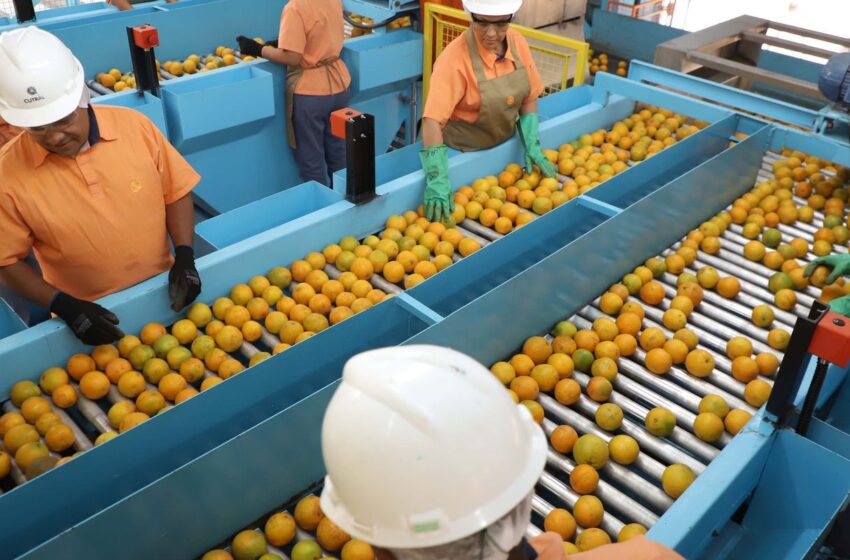  Confira a lista de quase 700 produtos que não serão taxados pelos EUA