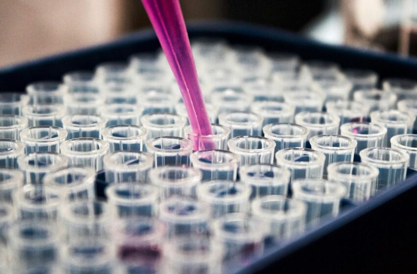  Brics aumentam produção científica em 10 vezes entre 2000 e 2024