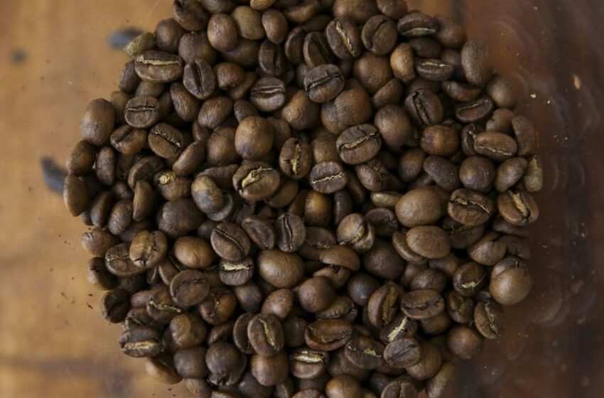  Tarifaço pode impactar vendas de suco de laranja, café, carne e frutas