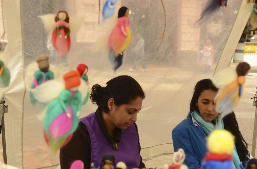  Conferência aprova 80 propostas de políticas sobre economia solidária