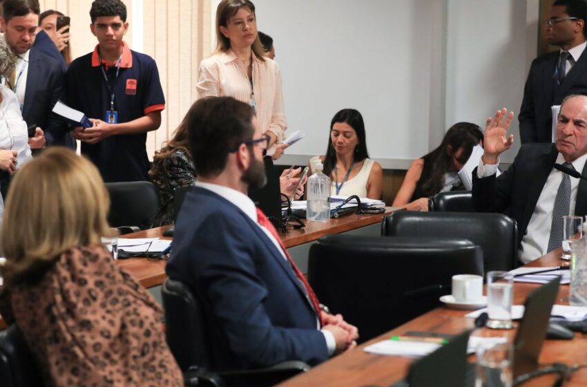  CCJ do Senado aprova novo código eleitoral com 900 artigos