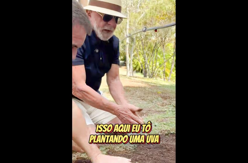  Em vídeo a Trump, Lula planta uva e diz semear comida e não ódio