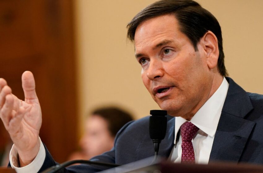  Líderes europeus se juntarão a Zelensky em encontro com Trump