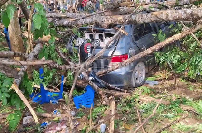  Ventania em Cavalgada Derruba Árvore e Fere Mulher Gravemente