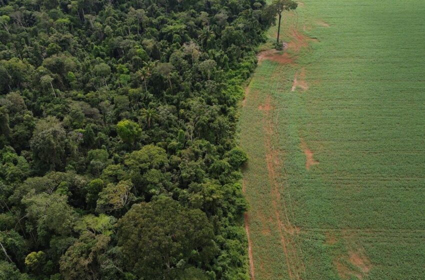  Brasil apresenta soluções de financiamento climático em Nova York
