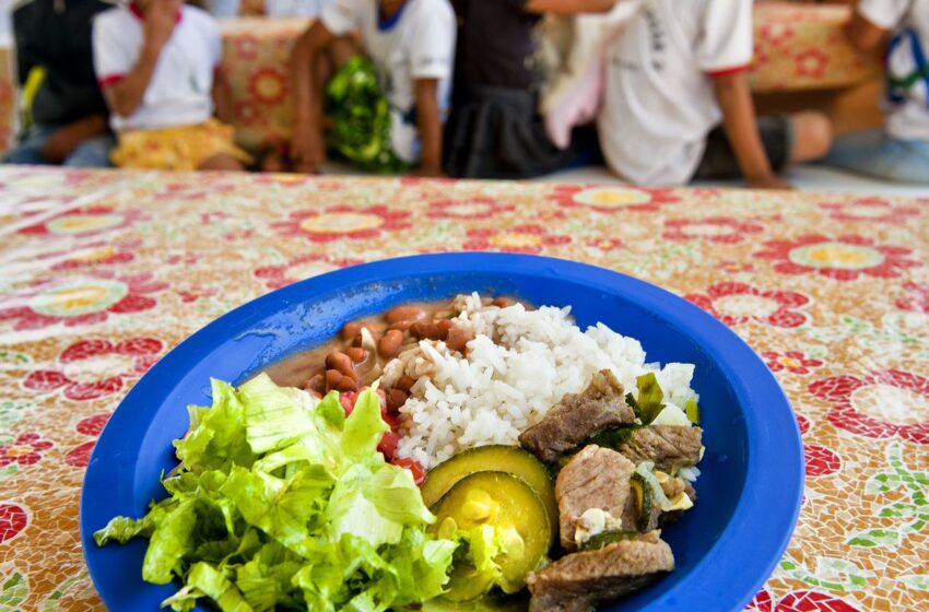  Câmara aprova projeto de compra de alimentos para merenda escolar