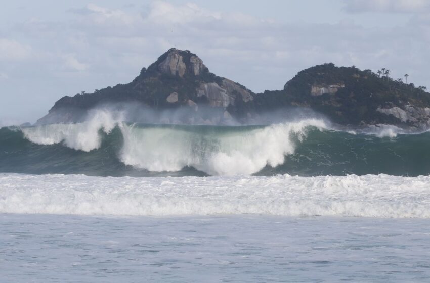  Jovens de 9 países participam de curso de pesquisas oceânicas no Rio