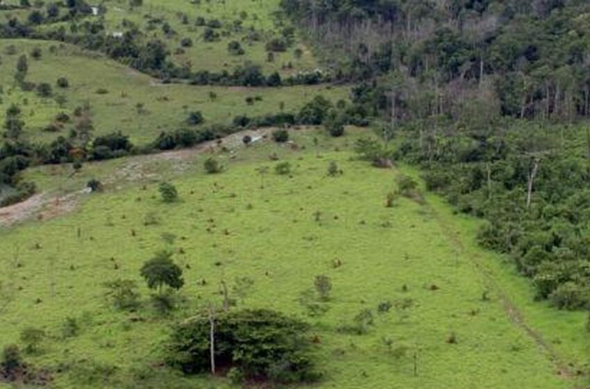  Governo prorroga prazo para georreferenciamento de imóveis rurais