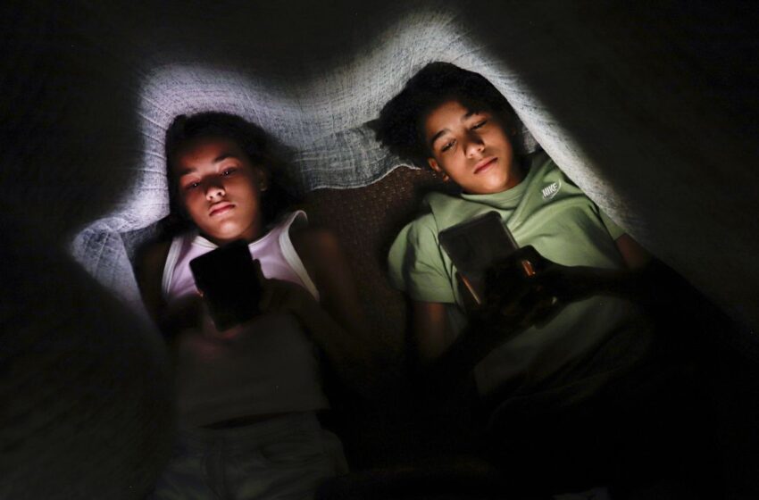  Mercosul defende medidas para proteção de crianças no ambiente digital