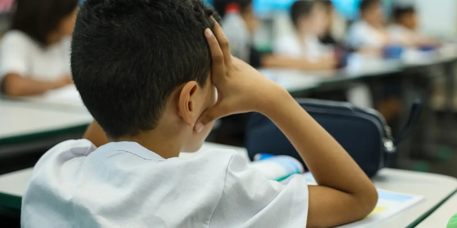  Educação hoje está cada vez mais no sujeito, diz orientadora