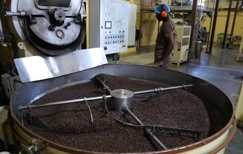  Portugal lidera destinos do café exportado por Angola em 2025