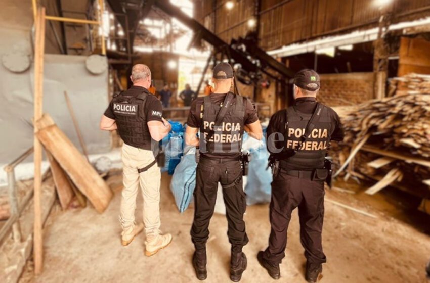  Polícia Federal Incinera Mais de 700 Kg de Drogas Apreendidas em Ji-Paraná