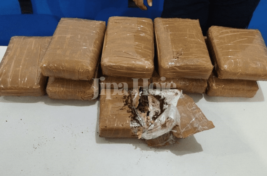  Jovem de 21 Anos é Presa com 10 kg de Maconha em Ônibus na Rodoviária de Vilhena