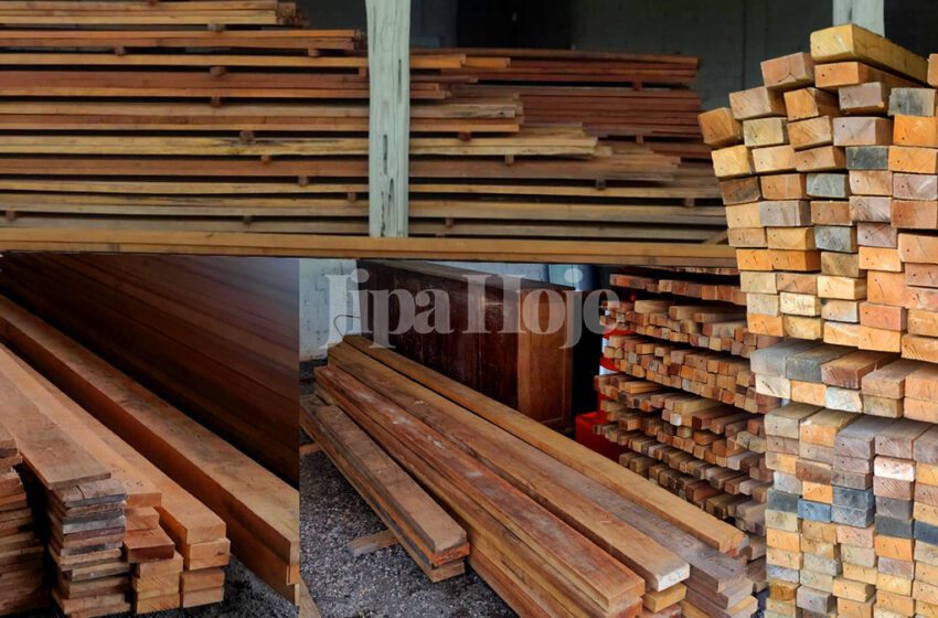  2º BPM de Ji-Paraná Abre Leilão de Madeira Nativa com Lance Mínimo de R$ 59 Mil