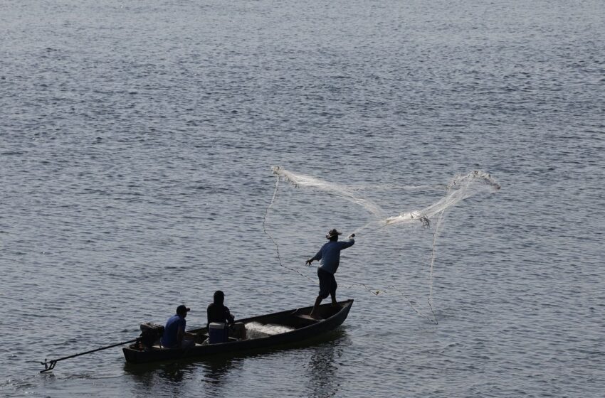 Universidade do Mar se torna realidade no Rio de Janeiro