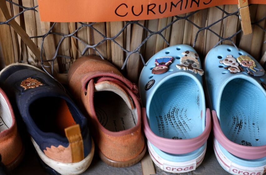  Censo: 17% de creches e pré-escolas têm itens básicos para funcionar