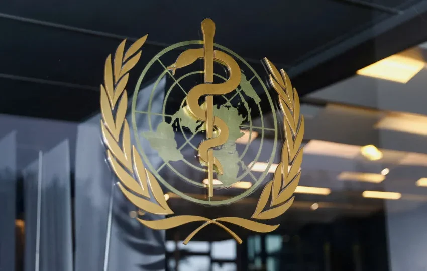  Risco de hantavírus a nível global “continua a ser baixo”, diz OMS