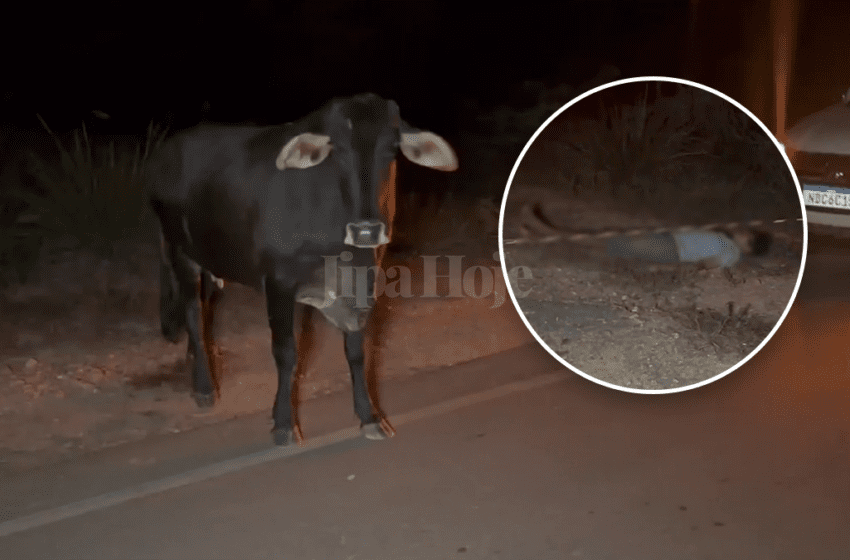 Jovem Morre Após Colidir com Vaca na Estrada do Presídio em Ji-Paraná