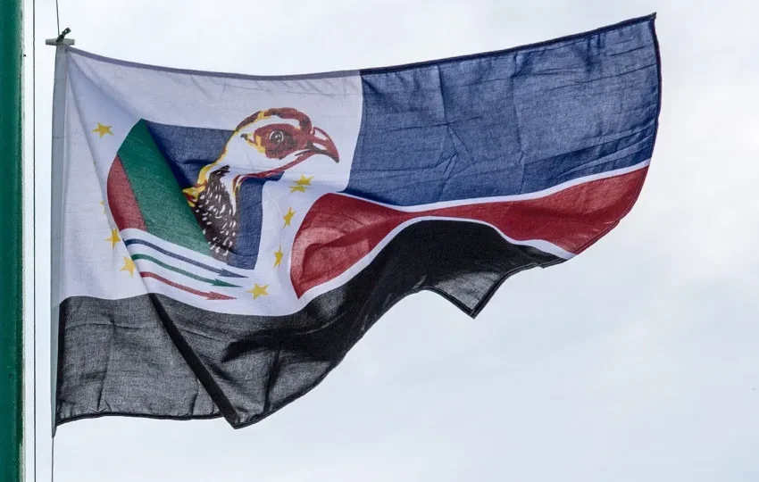  Renamo exige posição firme da África do Sul para acabar com xenofobia