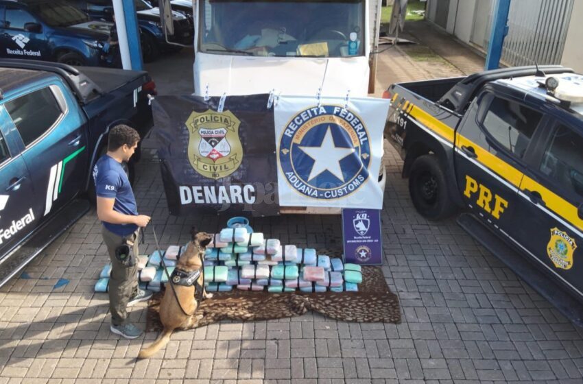  Receita Federal apreende carga de skunk em Porto Velho com apoio da PRF e DENARC