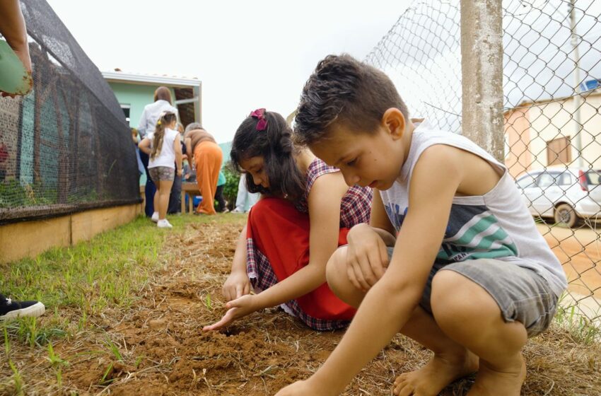  Natureza e saberes tradicionais guiam projeto premiado em escola rural