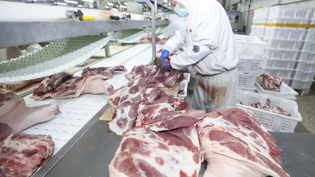  União Europeia confirma veto à carne brasileira e suspende importações a partir de setembro