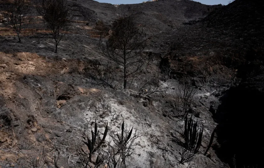  Incêndios em França obrigam à retirada de mil pessoas